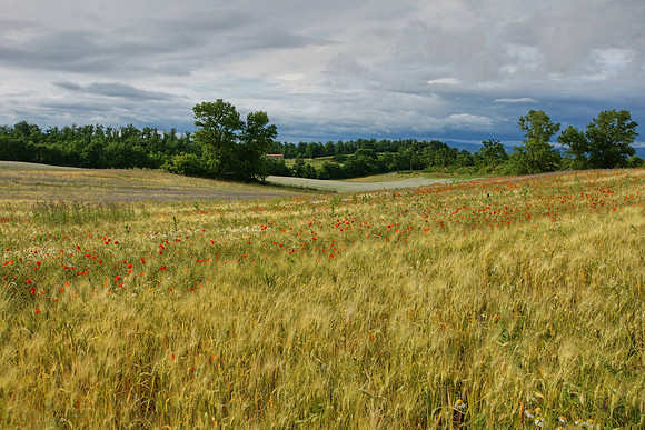 Tuscany and Umbria