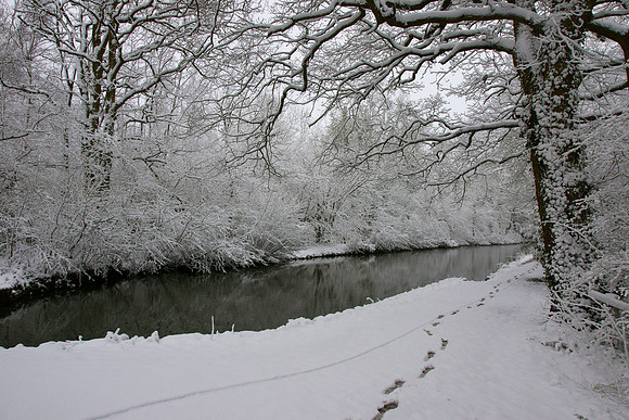 Snow