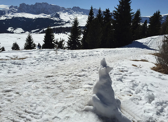 Snow dog, probably made by one of the local wood carvers