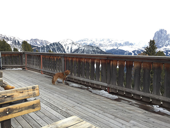 Lunch stop at Alpe di Suisi