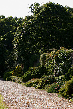Savill Gardens