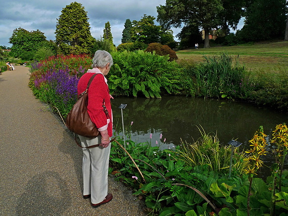 Wisley Gardens