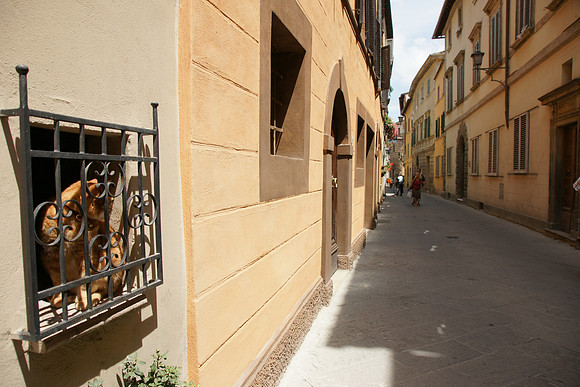 Tuscany and Umbria