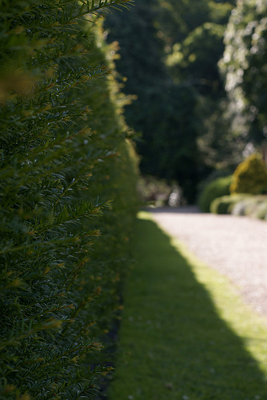 Savill Gardens