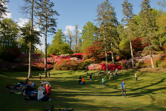 Valley Gardens