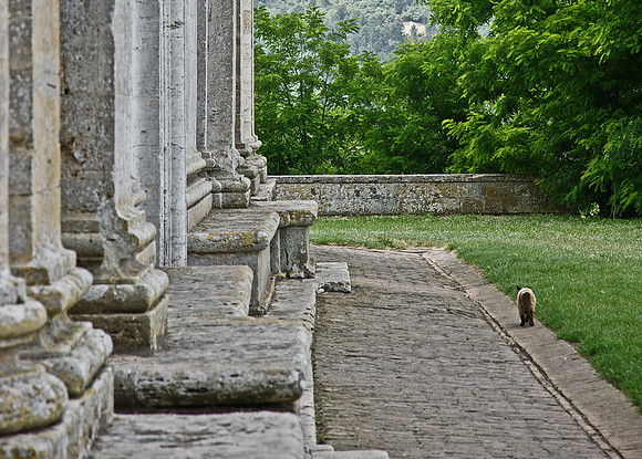 Tuscany and Umbria