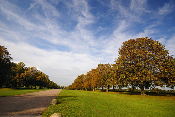 Windsor