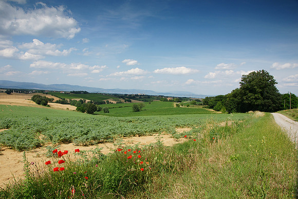 Tuscany and Umbria