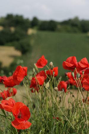 Tuscany