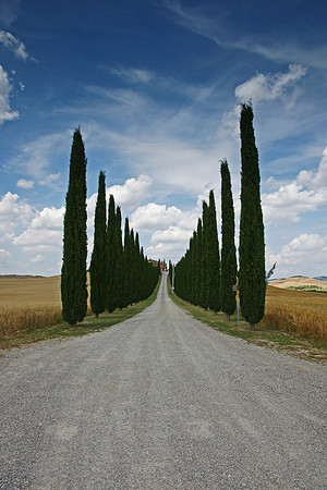 Tuscany and Umbria