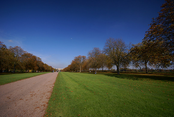 Windsor