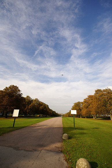 Windsor