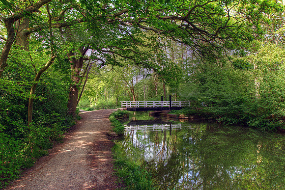 Basingstoke Canal