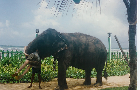 Sri Lanka - 1996