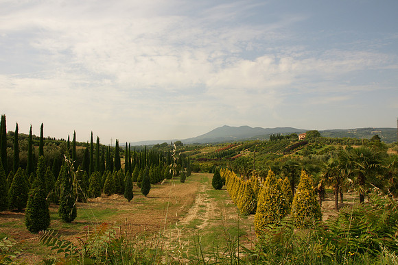 Tuscany and Umbria