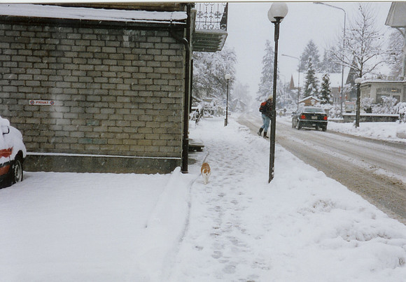 Swiss Alps 1995 for my 30th Birthday