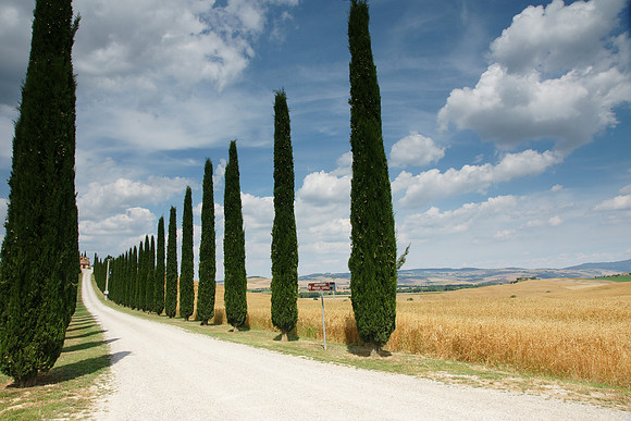 Tuscany and Umbria