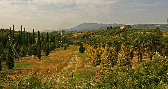 Tuscany and Umbria