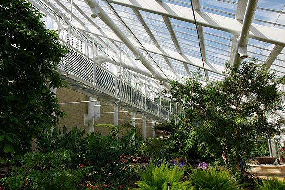 Savill Gardens