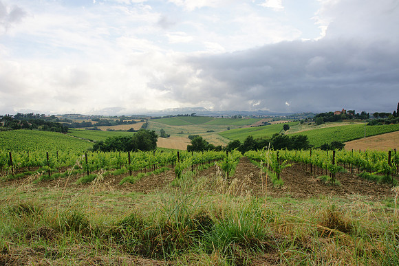 Tuscany and Umbria