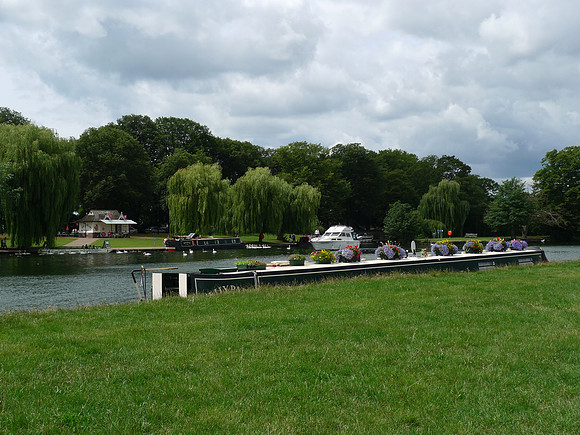 Windsor